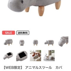 アニマル収納ケースの画像