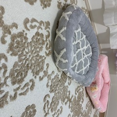 【受渡予定決まりました 】ペット用ベッドの画像