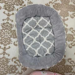 【受渡予定決まりました 】ペット用ベッドの画像