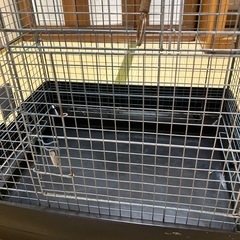 小動物用ゲージ中古
の画像