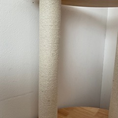 キャットタワーの画像