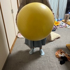 バランスボールの画像