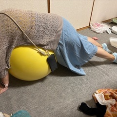 バランスボールの画像