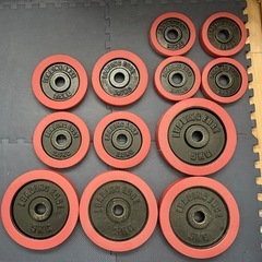 6月末処分　ダンベル　20kg✖️2 値下げバラ売り不可　送料込み！ 6月末処分 ダンベル 20kg✖️2 値下げバラ売り不可 送料込み