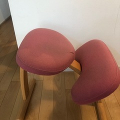 サカモトハウス　パランスイージーの画像