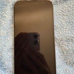 iPhone15ProとiPad第10世代の画像
