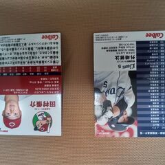 外崎 修汰＆田村 俊介　プロ野球チップスカードの画像