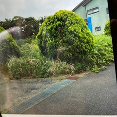 売地