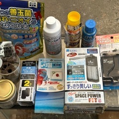 ★水槽 金魚飼育グッズのおまけ付きの画像