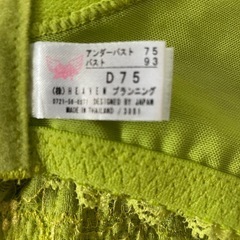 未使用Heaven Japanの適正下着の画像