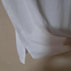 新品未使用　Mサイズ　Tシャツ　白色の画像