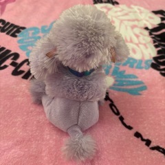 犬  
プードル🐩のぬいぐるみの画像