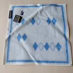 【未使用・タグ付】DKNY　 MEN'S BIGI　ハンカチ　タオル　２枚セットの画像