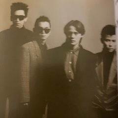 BOOWY STORY 大きなビートの木の下で　小説の画像