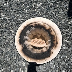 七輪の画像