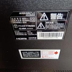 アイリスオオヤマテレビジャンクの画像