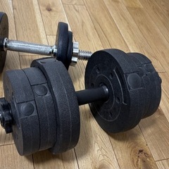 ダンベル10kg×2の画像
