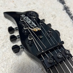 Edwards  ES-100PR SUGIZOモデルの画像