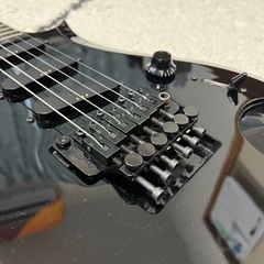 Edwards  ES-100PR SUGIZOモデルの画像