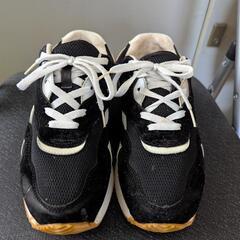 スニーカー　24.5cmの画像