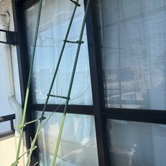 〈受け取り者決定
〉プランター中古品の画像