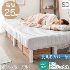 セミダブルベットの画像