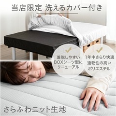 セミダブルベットの画像