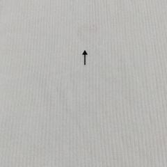 【手芸用品】布地　生地　白　ストレッチの画像