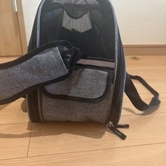 美品　ペットキャリーバッグの画像