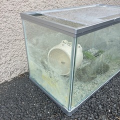 水槽 約51.5cmの画像