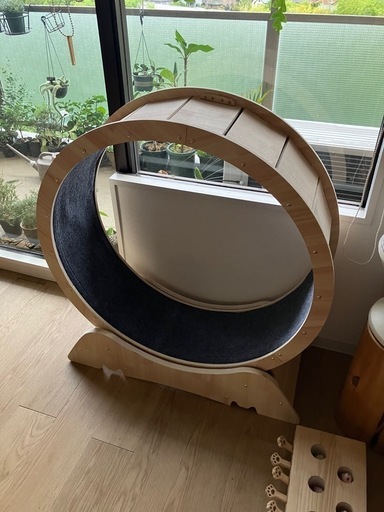 猫　おもちゃ　ホイール　ランナー　猫ウォーカー