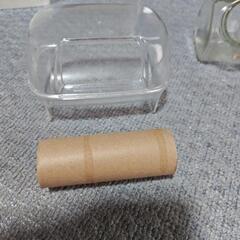 ハムスター砂浴びの画像
