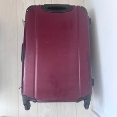 ACE キャリーケースの画像