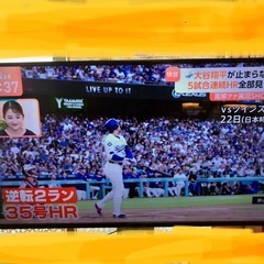 テレビの画像