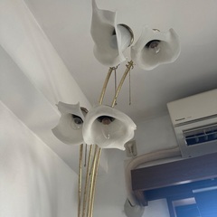 ライトの画像