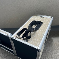 ペットパラダイス　ハードキャリーバッグ　アルミの画像