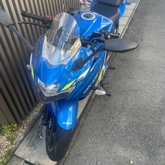 ジグザー250SFの画像