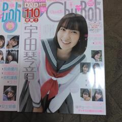 チューボー雑誌  DVD付き　二冊セットの画像