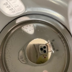 No.910 ティファール電気ケトル　0.8リットル中古の画像