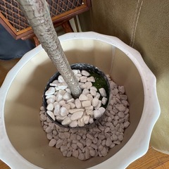 桜の木造花　植木鉢セットの画像
