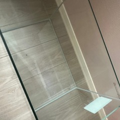 大型水槽の画像