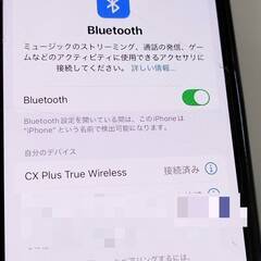 SENNHEISER CX Plus True Wireless/CXPLUSTW1/ワイヤレスイヤホンの画像
