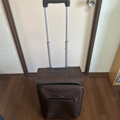 キャリーバッグの画像