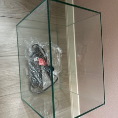 小型水槽の画像