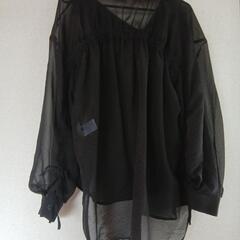シースルー　ブラウス　黒の画像