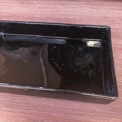 めだか　稚魚　針子飼育　水盤　水草付きの画像