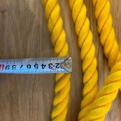 ロープ　綱引き遊び　の画像