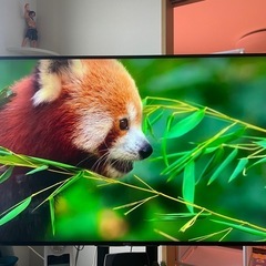SONY 4K大画面高性能テレビ55インチ BRAVIAの画像