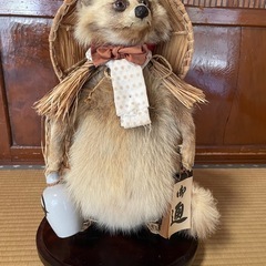 たぬき の画像