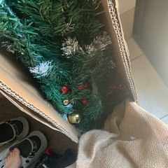 クリスマスツリー🌲
の画像